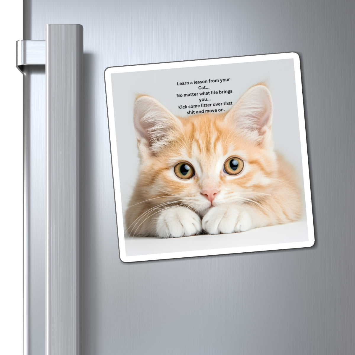 Cat Wisdom Refrigerator Magnet — "Learn a lesson from your cat" Cute Ginger Kitten Quote Magnet