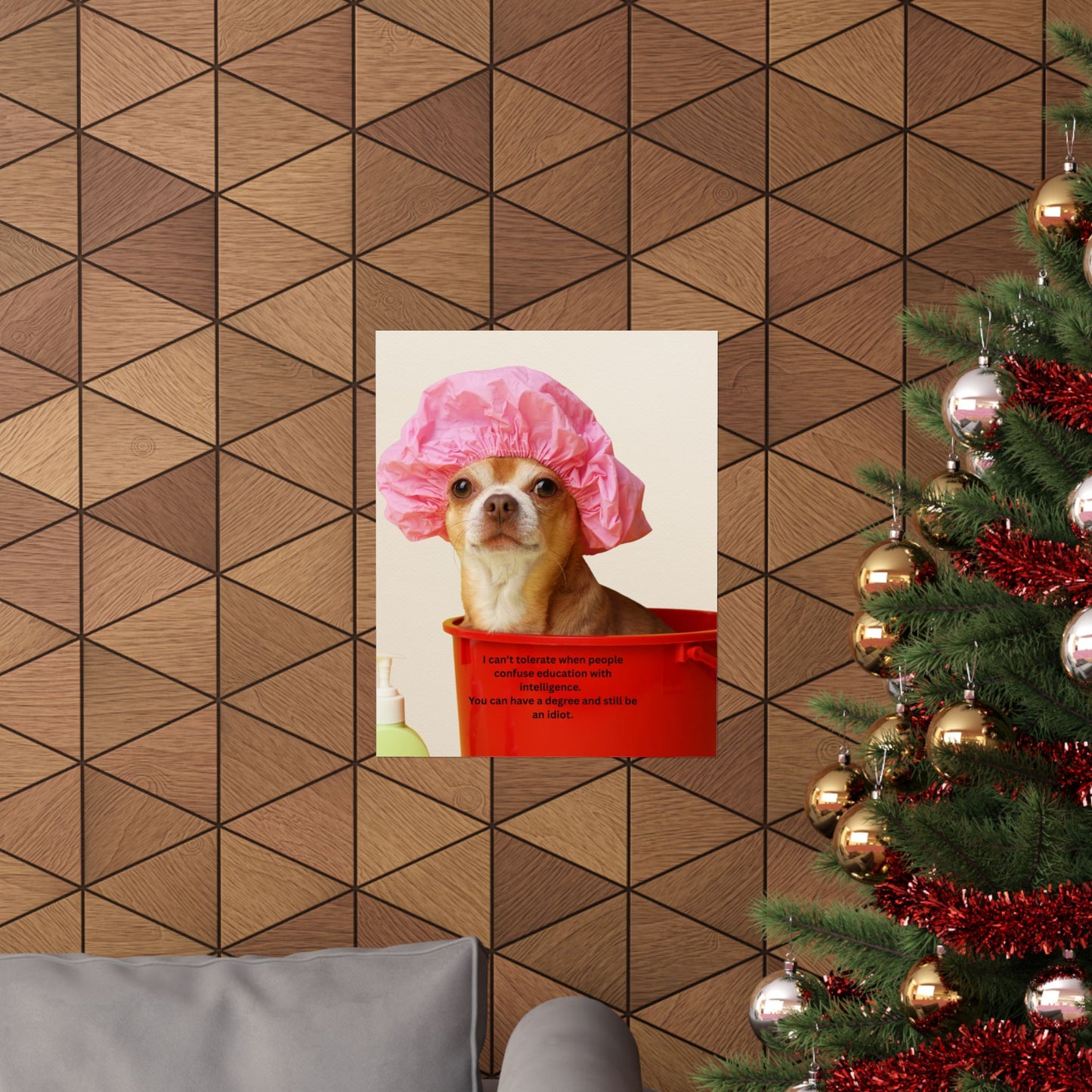 Poster - Funny Chihuahua Shower Cap Quote (I Can't Tolerate When People Confuse Education With Intelligence)