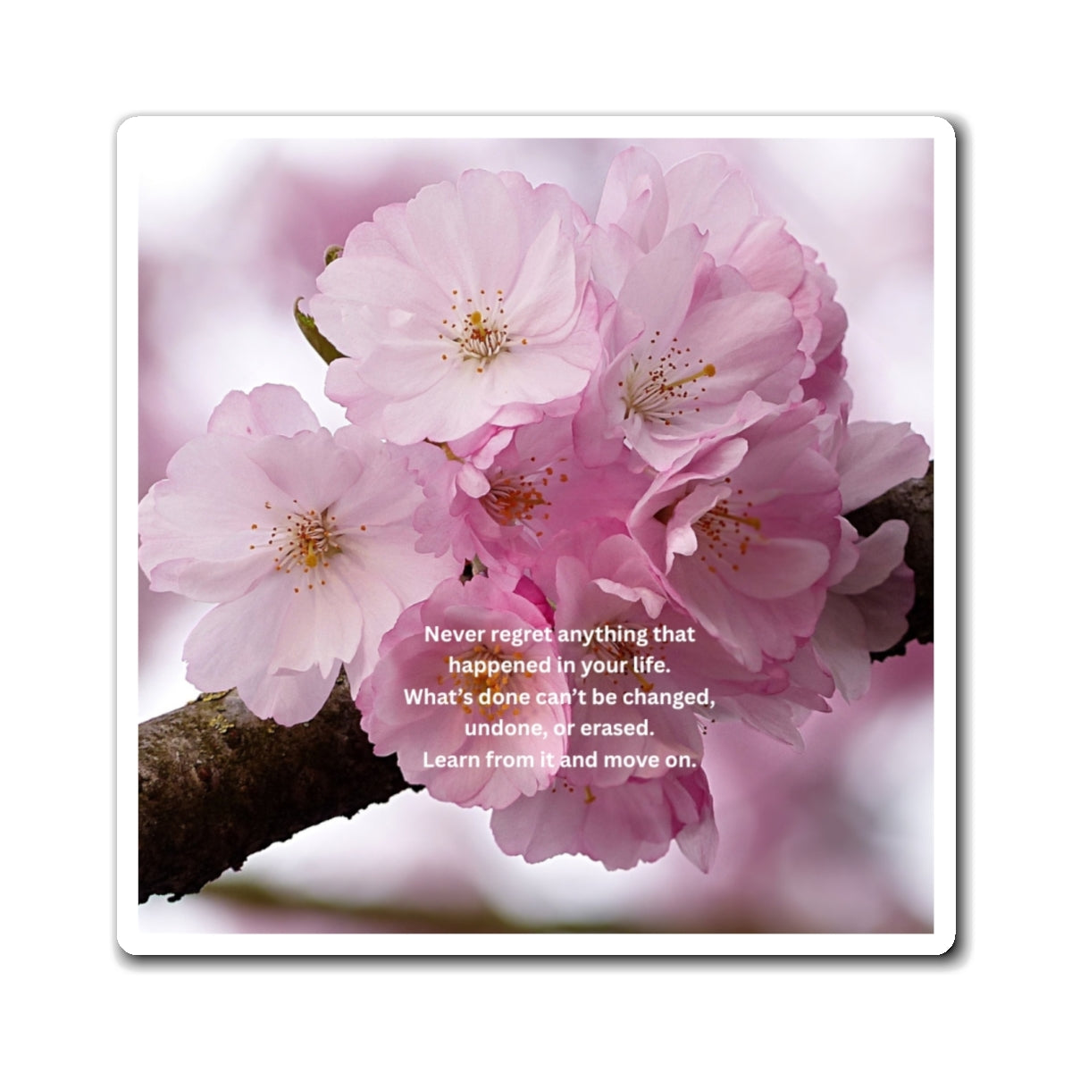 Cherry Blossom Inspirational Quote Magnet — "Never regret anything" Decorative Refrigerator Magnet