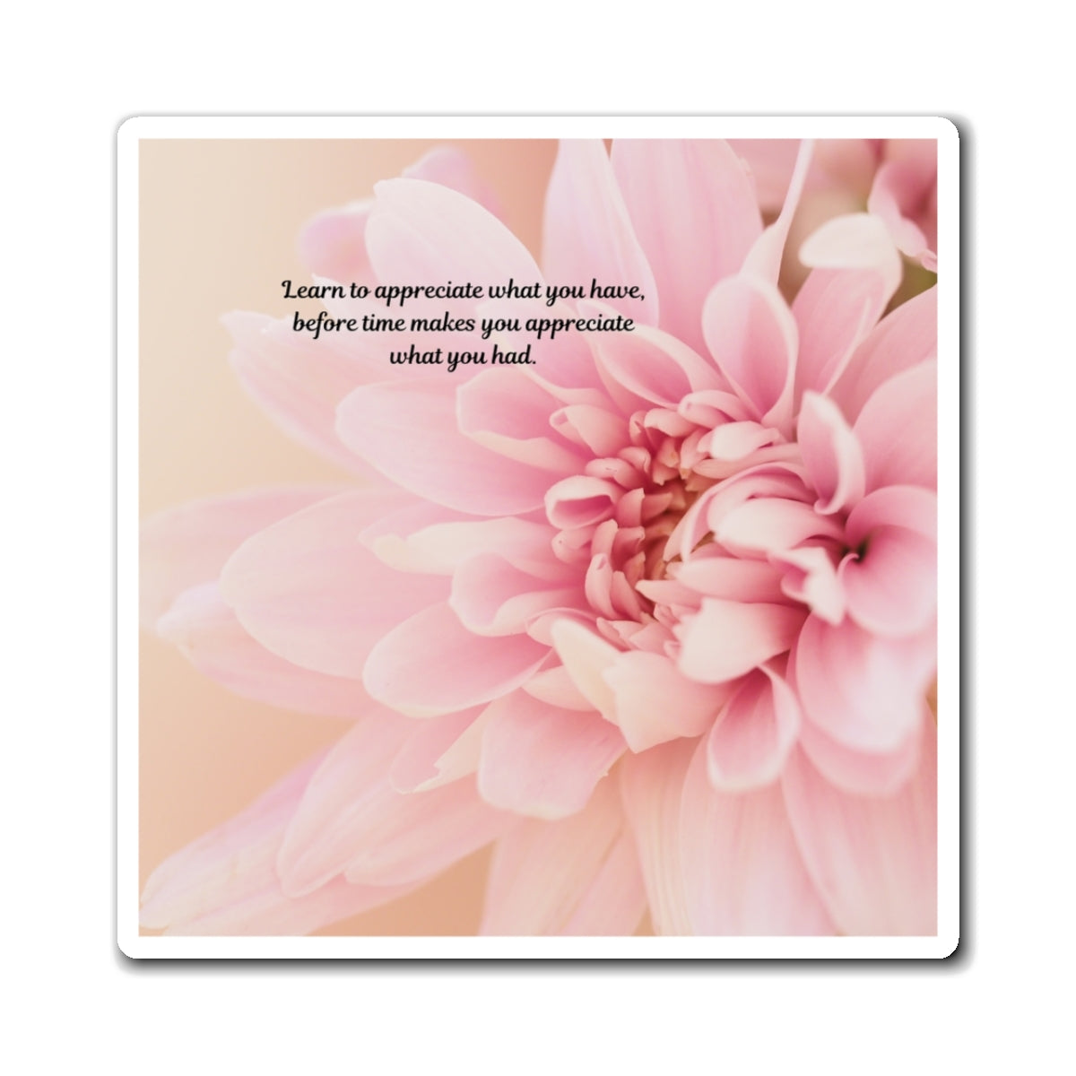 Inspirational Pink Dahlia Magnet — "Learn to appreciate what you have" Refrigerator Decor
