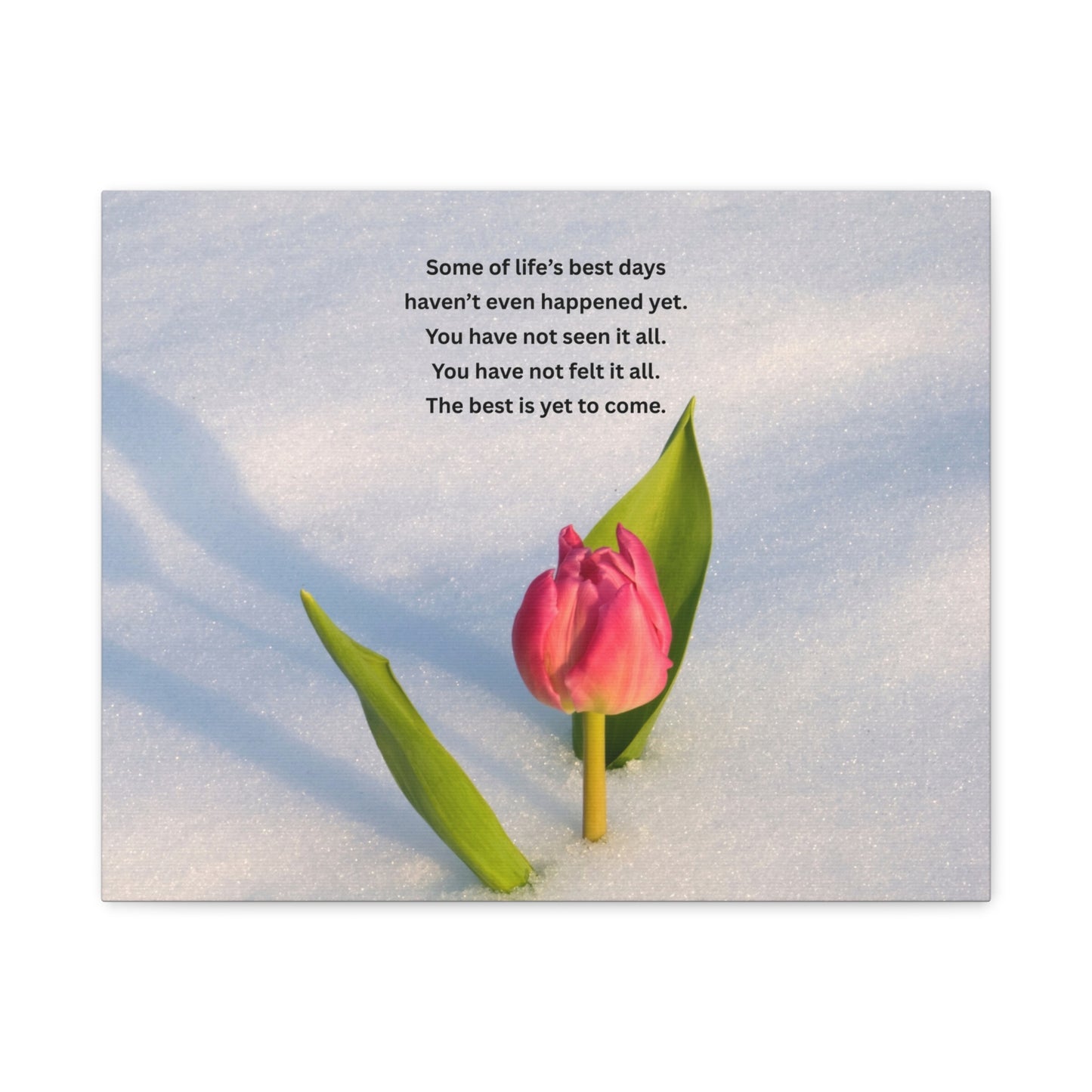 Canvas Wall Art – Inspirational Tulip Quote "Some of life's best days..."