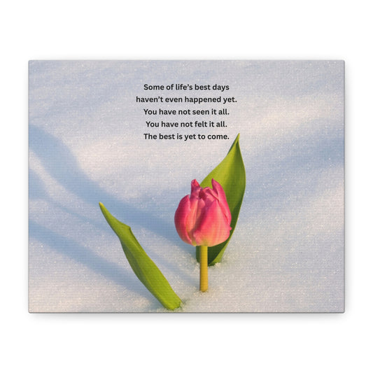 Canvas Wall Art – Inspirational Tulip Quote "Some of life's best days..."