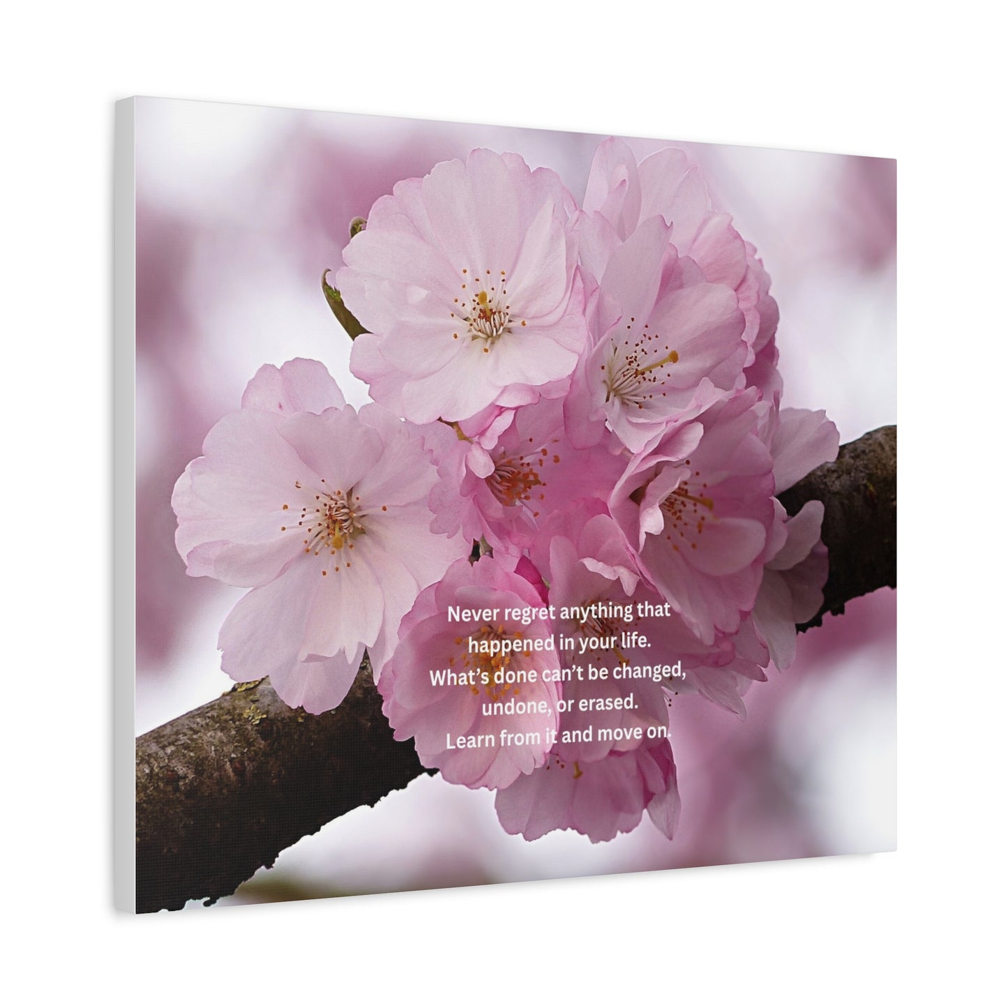 Cherry Blossom Canvas Wall Art with Inspirational Quote — "Never regret anything"