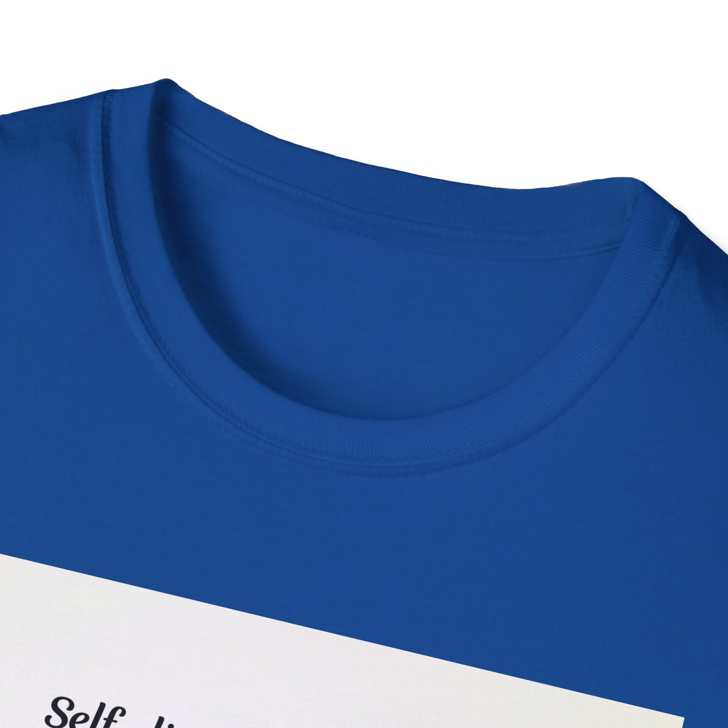 Inspirational Quote Softstyle T-Shirt, Motivational Tee, Gift for Fitness Lovers, Self-Discipline Shirt, Casual Wear