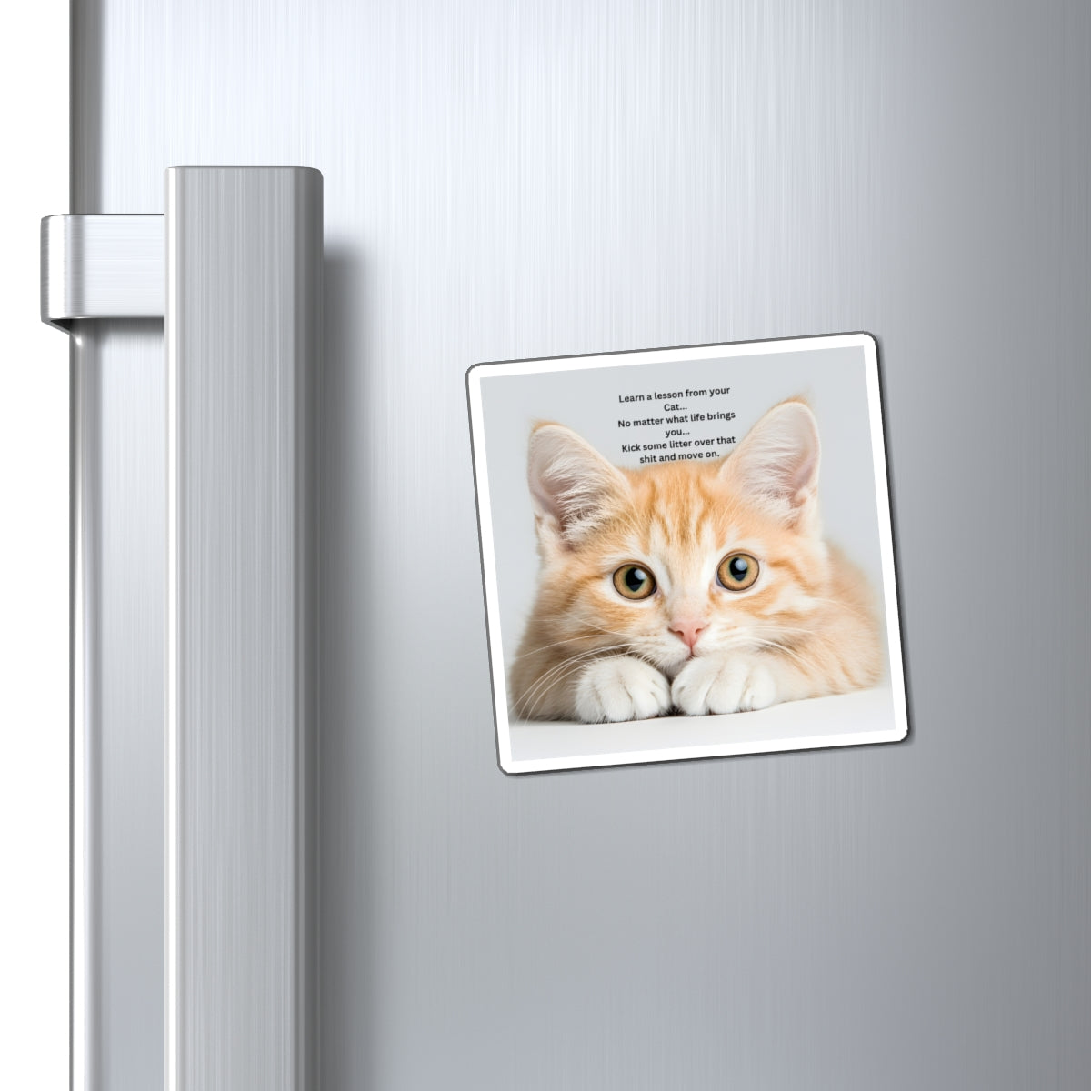 Cat Wisdom Refrigerator Magnet — "Learn a lesson from your cat" Cute Ginger Kitten Quote Magnet