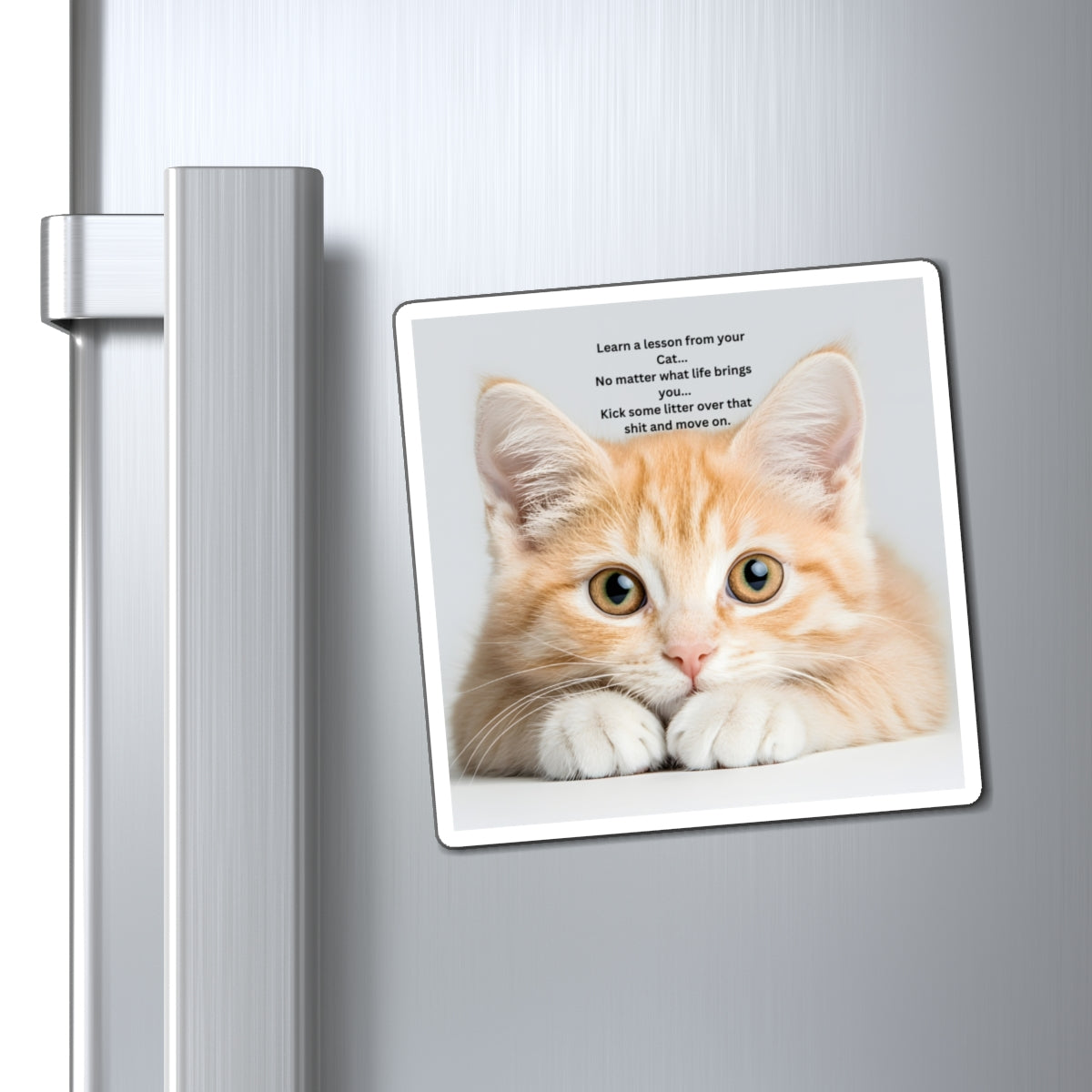 Cat Wisdom Refrigerator Magnet — "Learn a lesson from your cat" Cute Ginger Kitten Quote Magnet