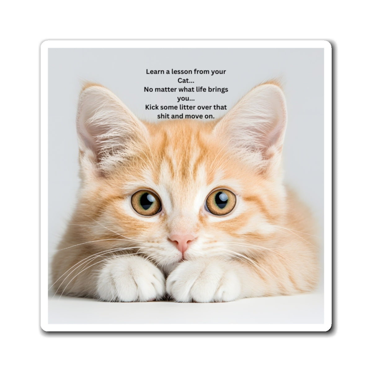Cat Wisdom Refrigerator Magnet — "Learn a lesson from your cat" Cute Ginger Kitten Quote Magnet