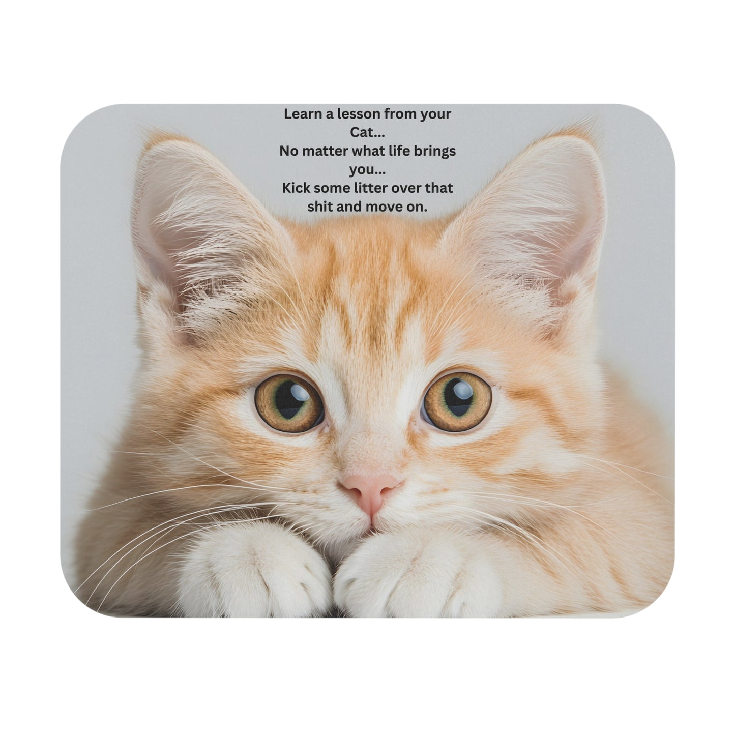 Cute Ginger Cat Mouse Pad with Funny ‘Learn a Lesson’ Quote — Office Desk Gift