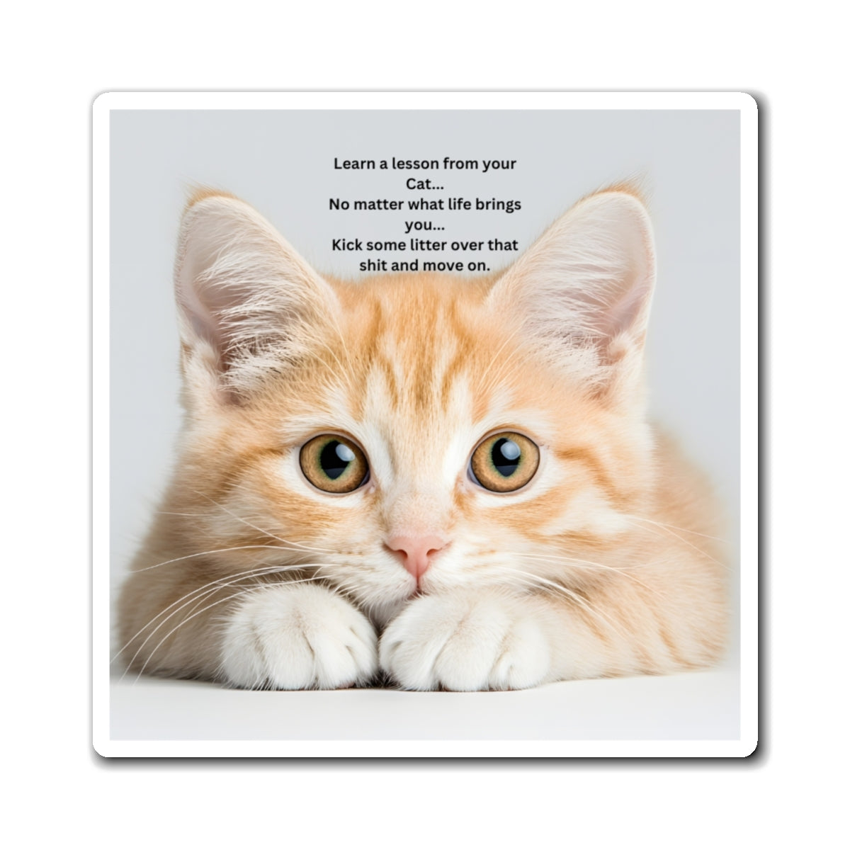 Cat Wisdom Refrigerator Magnet — "Learn a lesson from your cat" Cute Ginger Kitten Quote Magnet