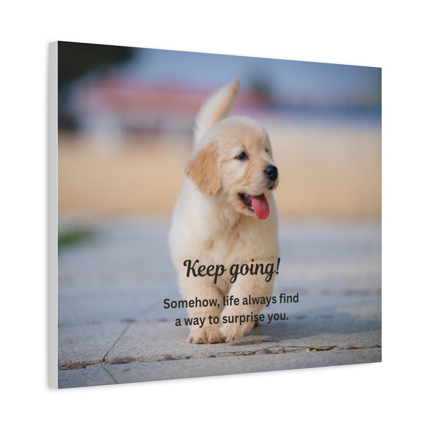 Motivational Puppy Canvas Print — "Keep going! Somehow, life always finds a way to surprise you."