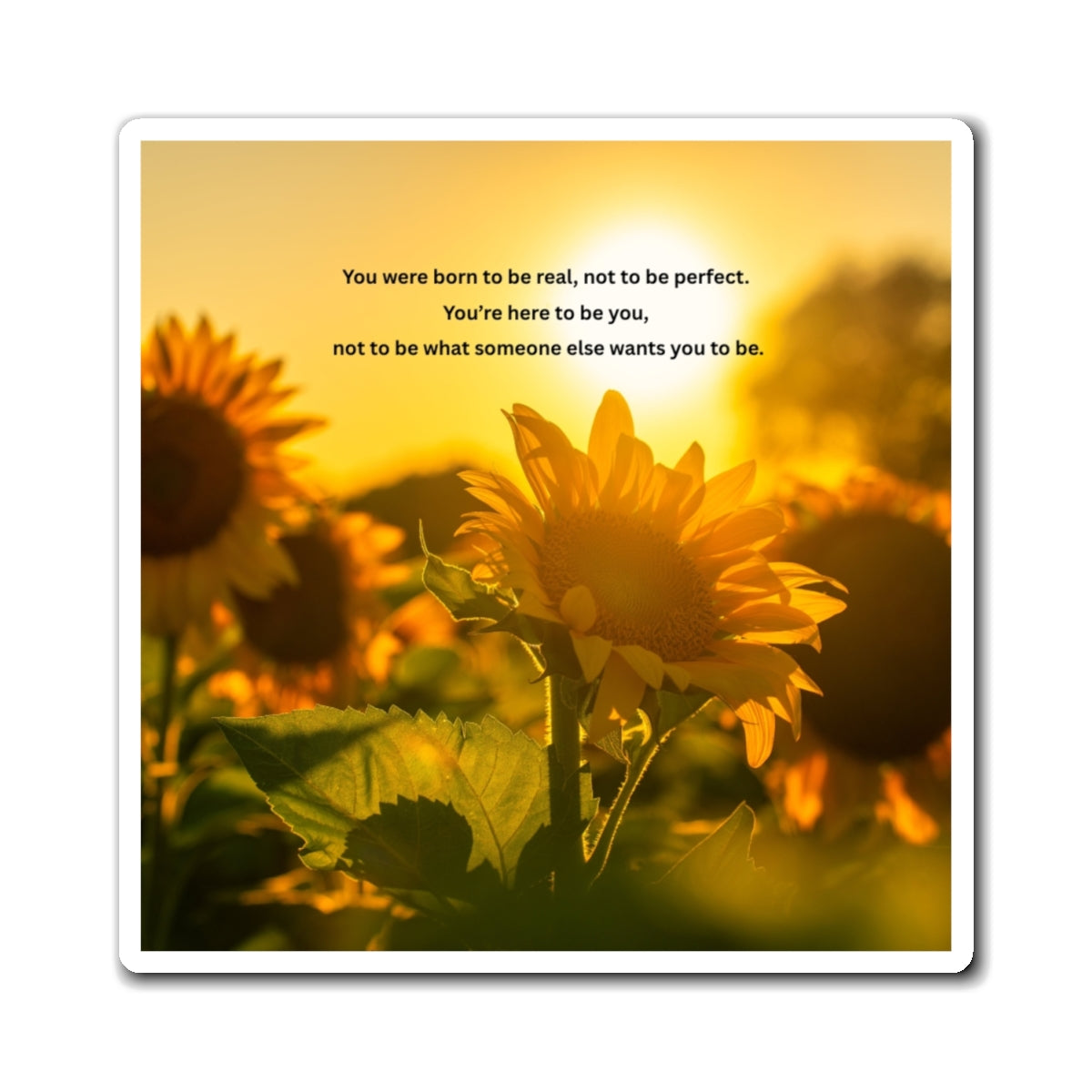 Sunflower Inspiration Magnet — "You were born to be real" Motivational Refrigerator Decor