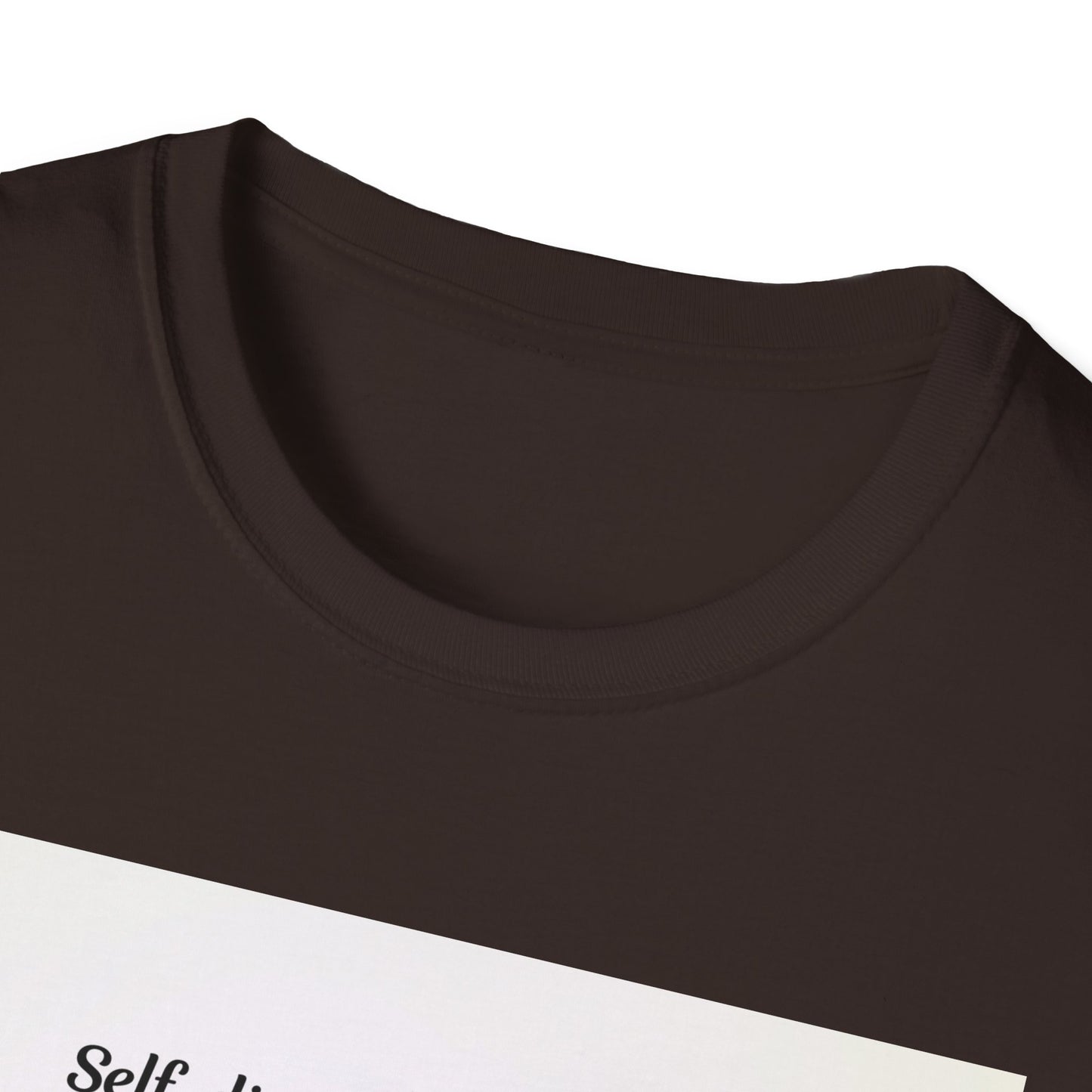 Inspirational Quote Softstyle T-Shirt, Motivational Tee, Gift for Fitness Lovers, Self-Discipline Shirt, Casual Wear