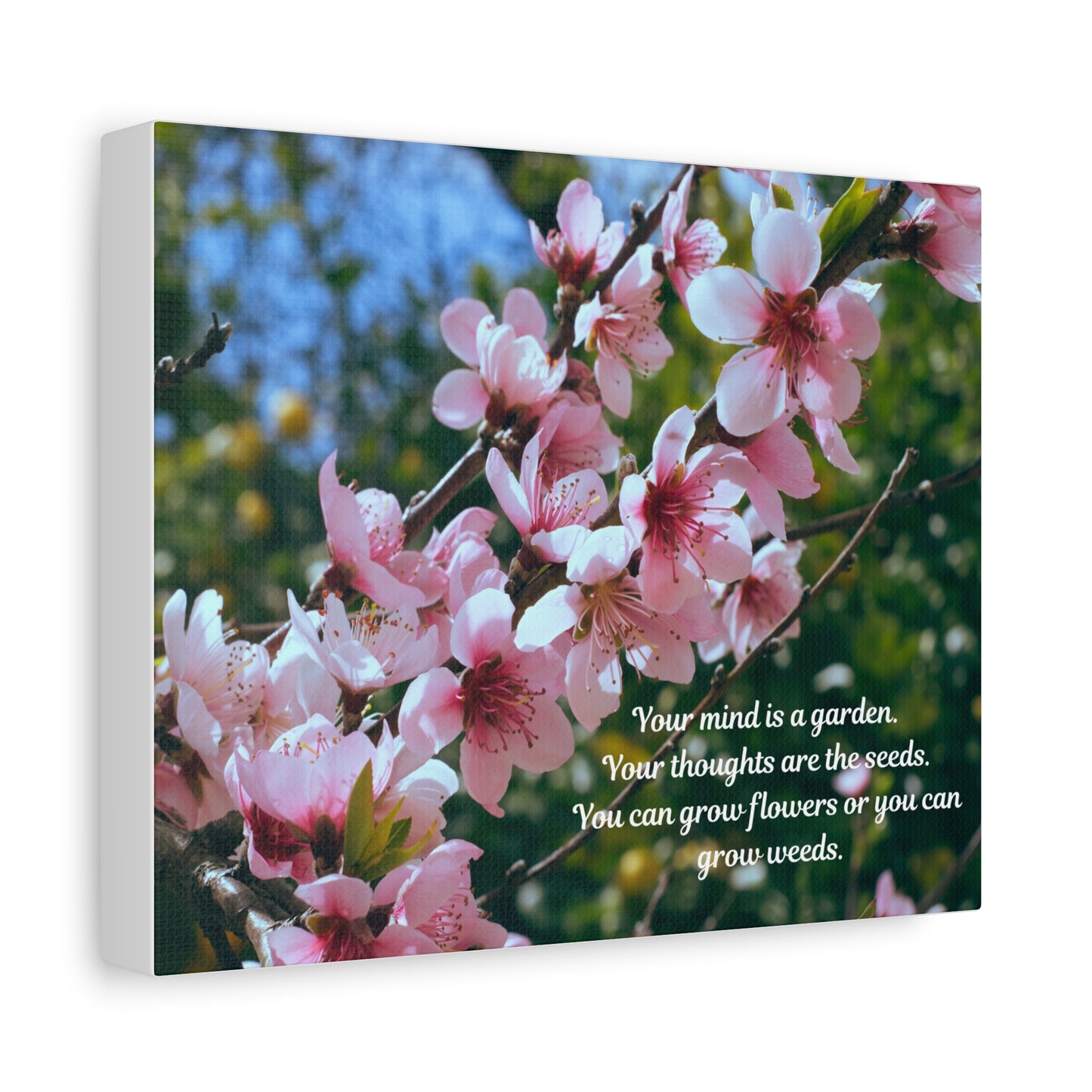 Inspirational Flower Canvas Wall Art, Nature Decor for Home, Motivational Gift, Garden Quote Print, Positive Thinking Wall Decor