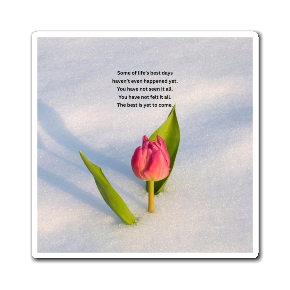 Inspirational Tulip Magnet — "The Best Is Yet to Come" Refrigerator Magnet