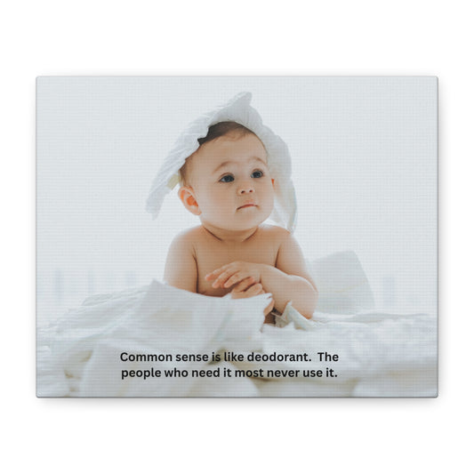 Humorous Canvas Wall Art, Funny Baby Quote Home Decor, Nursery Wall Decor, Gift for New Parents, Baby Shower Gift