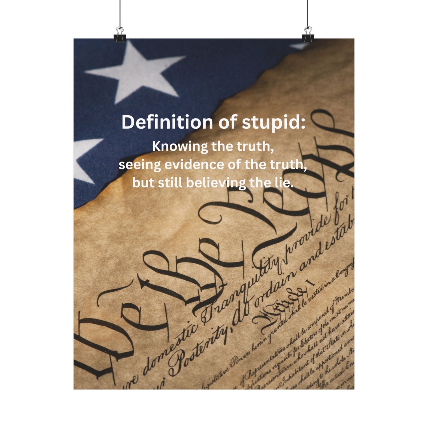 Patriotic Poster — “Definition of stupid: Knowing the truth, seeing evidence… but still believing the lie.” Matte Vertical Print
