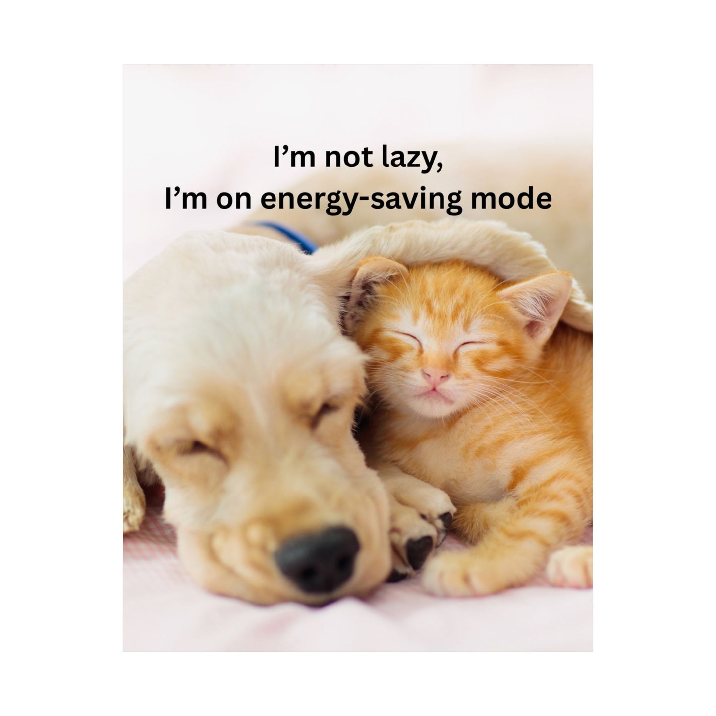 Cozy Pet Wall Art, Cute Animal Decor, Funny Home Decoration, Gift for Pet Lovers, Cat & Dog Poster, Energy-Saving Mode Art