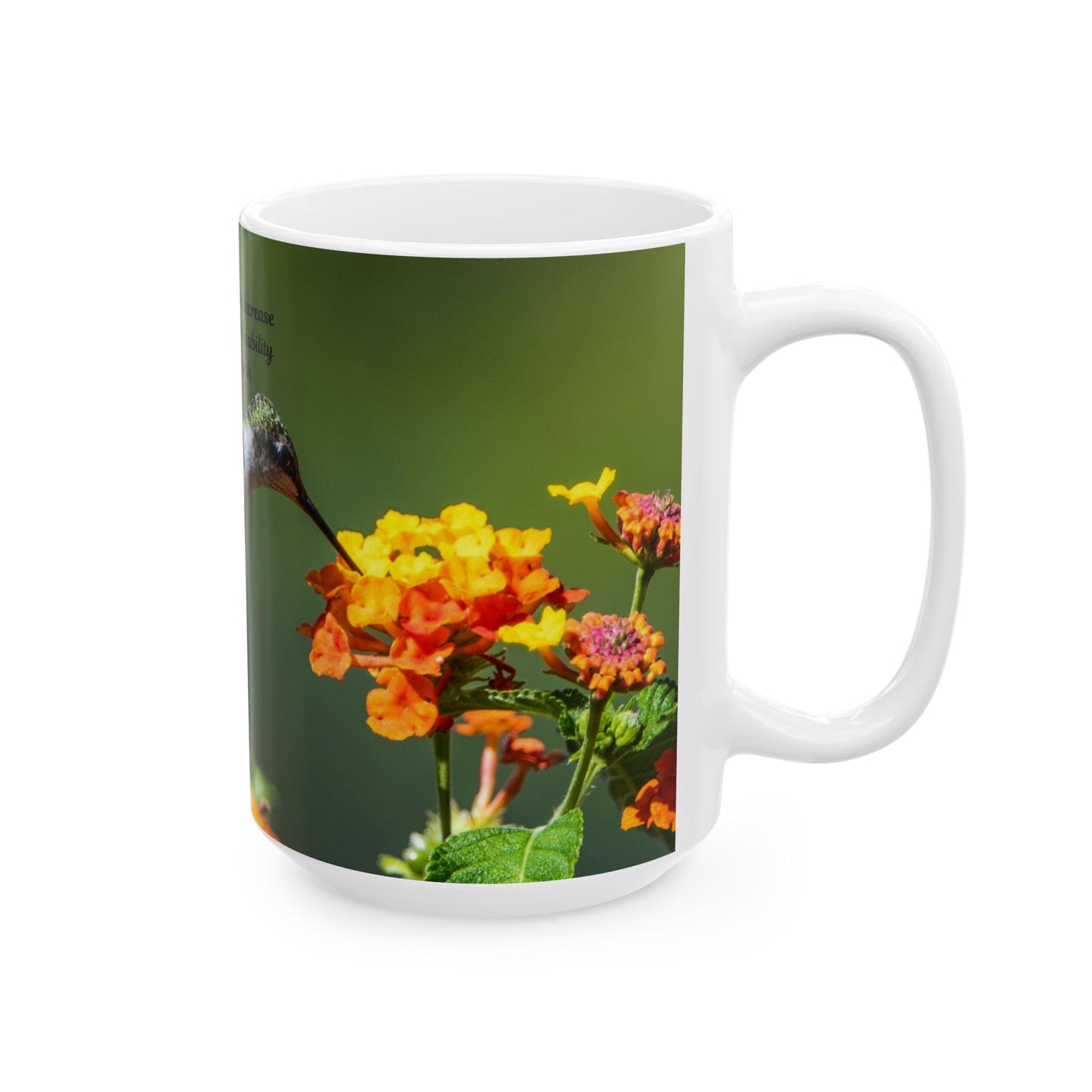 Inspirational Hummingbird Mug - Motivational Coffee Cup, Nature Lover Gift, Self-Worth Reminder, Office Drinkware, Mother's Day Present