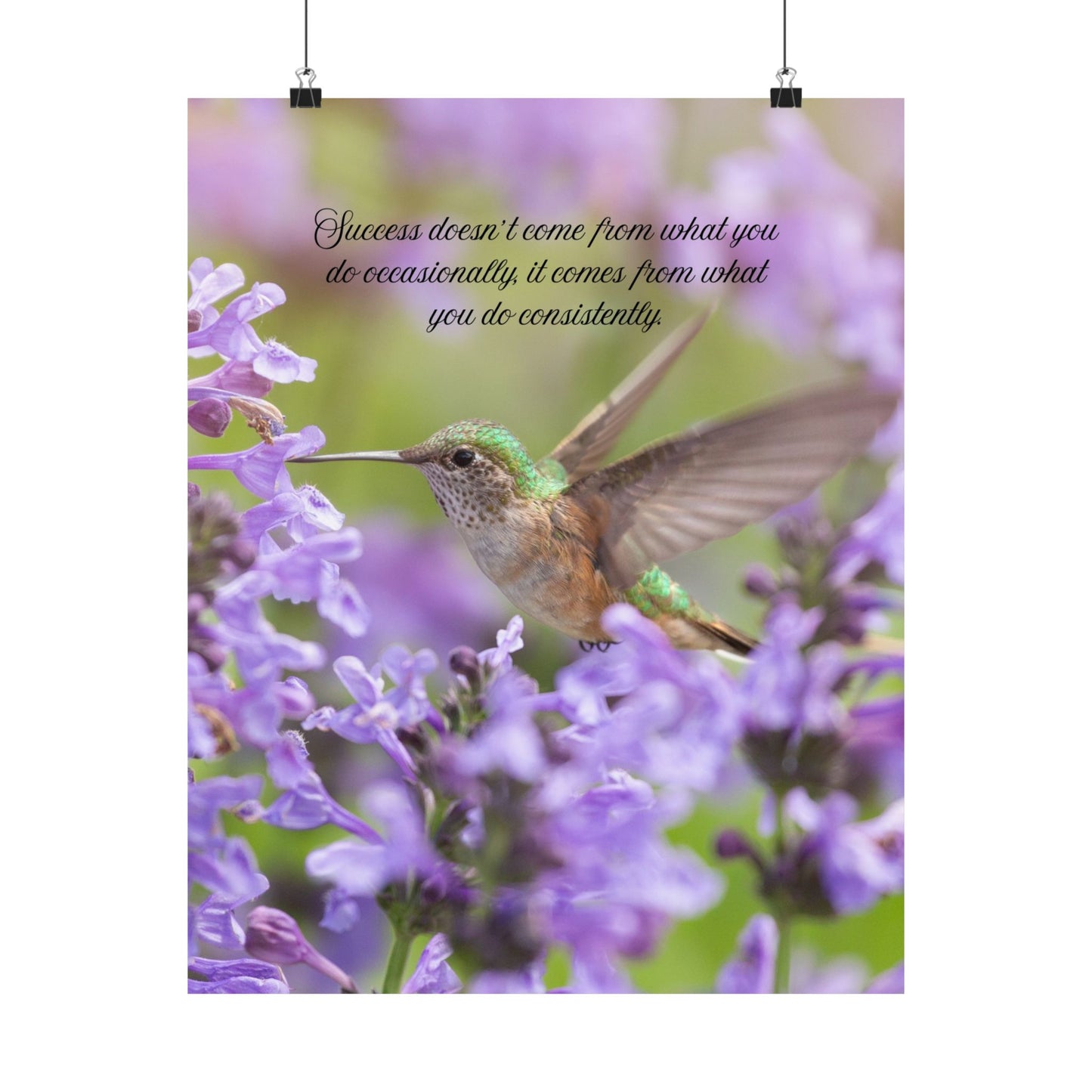 Hummingbird Inspiration Poster – "Success doesn't come from what you do occasionally..." Matte Vertical Art