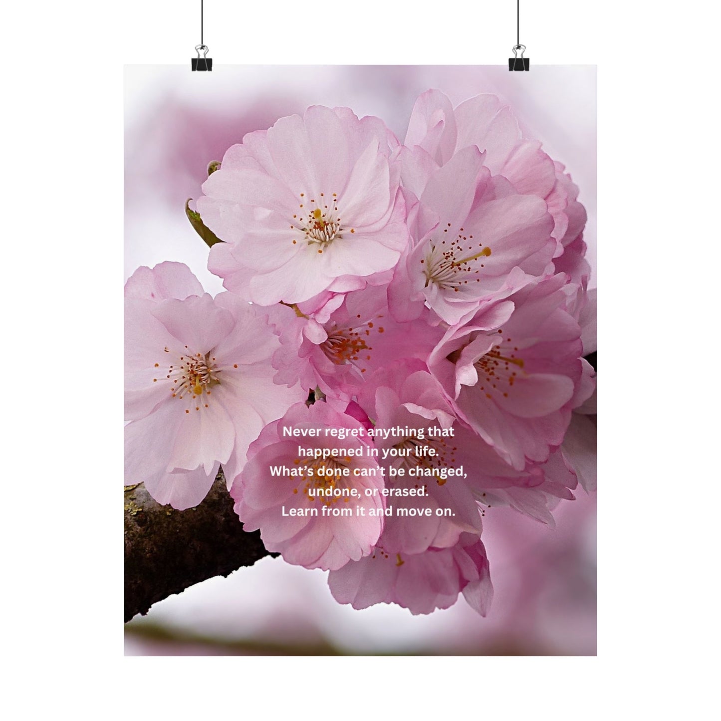 Matte Poster — Pink Cherry Blossoms with Inspirational Quote
