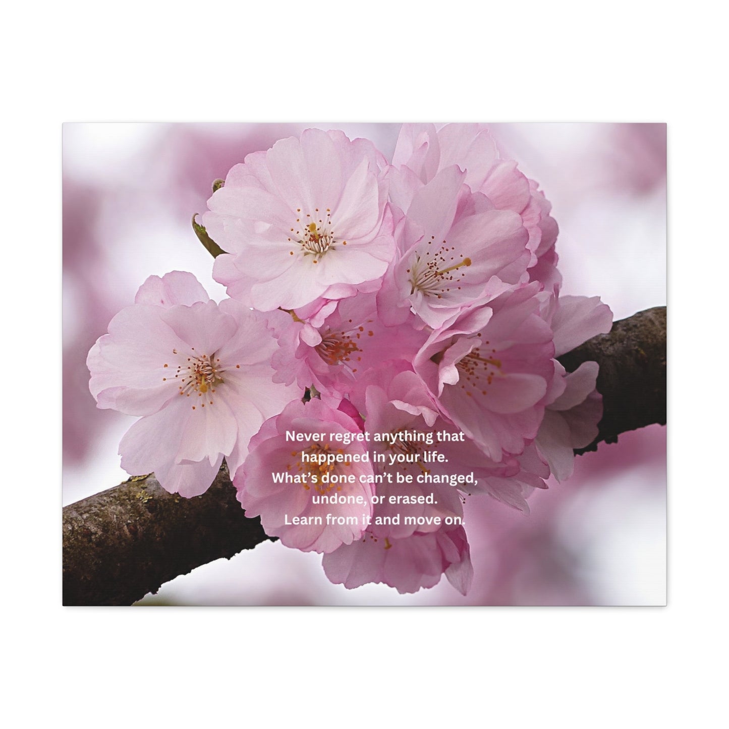Cherry Blossom Canvas Wall Art with Inspirational Quote — "Never regret anything"