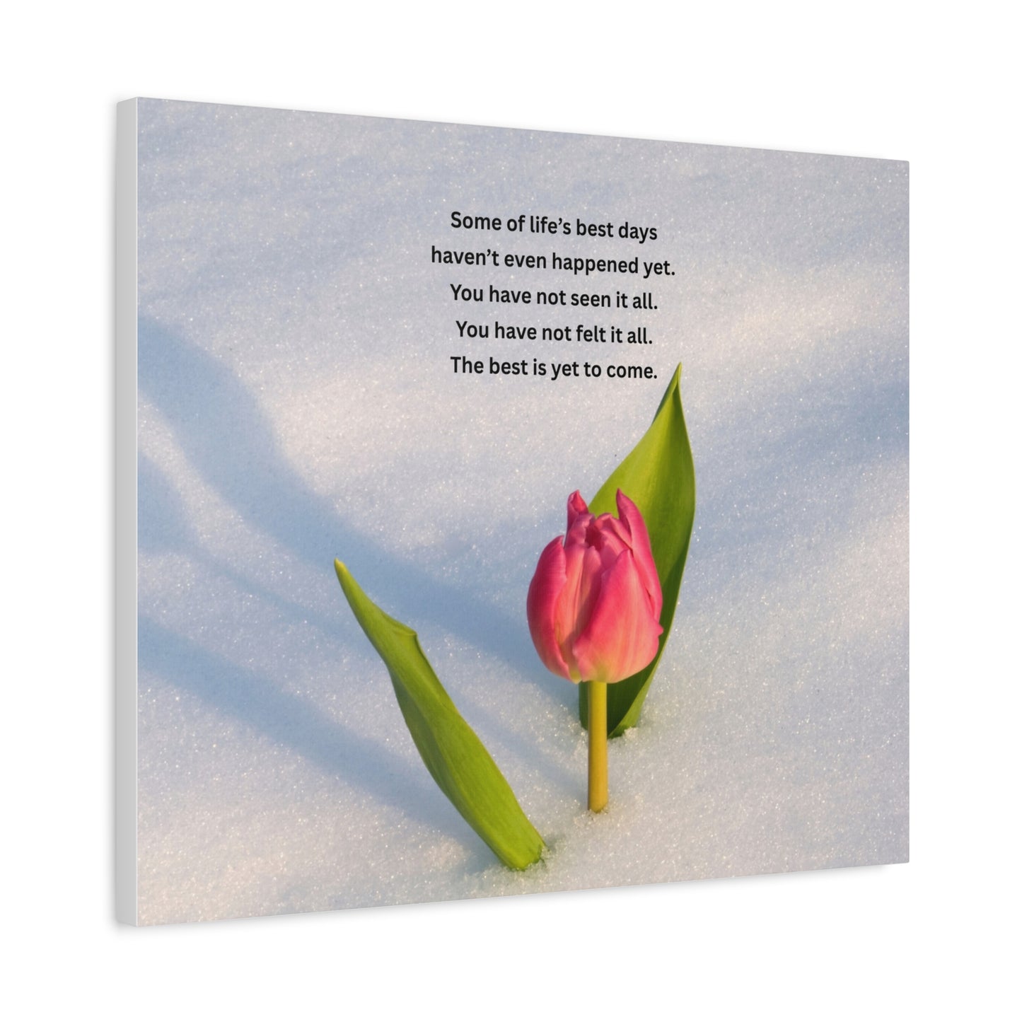 Canvas Wall Art – Inspirational Tulip Quote "Some of life's best days..."