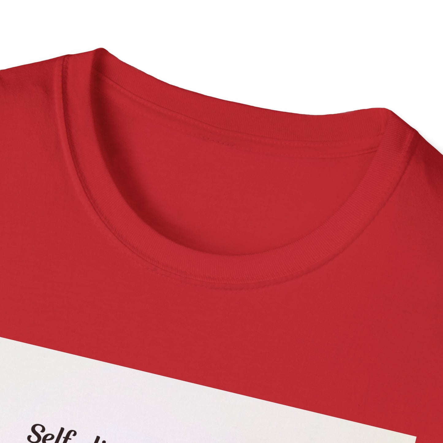 Inspirational Quote Softstyle T-Shirt, Motivational Tee, Gift for Fitness Lovers, Self-Discipline Shirt, Casual Wear