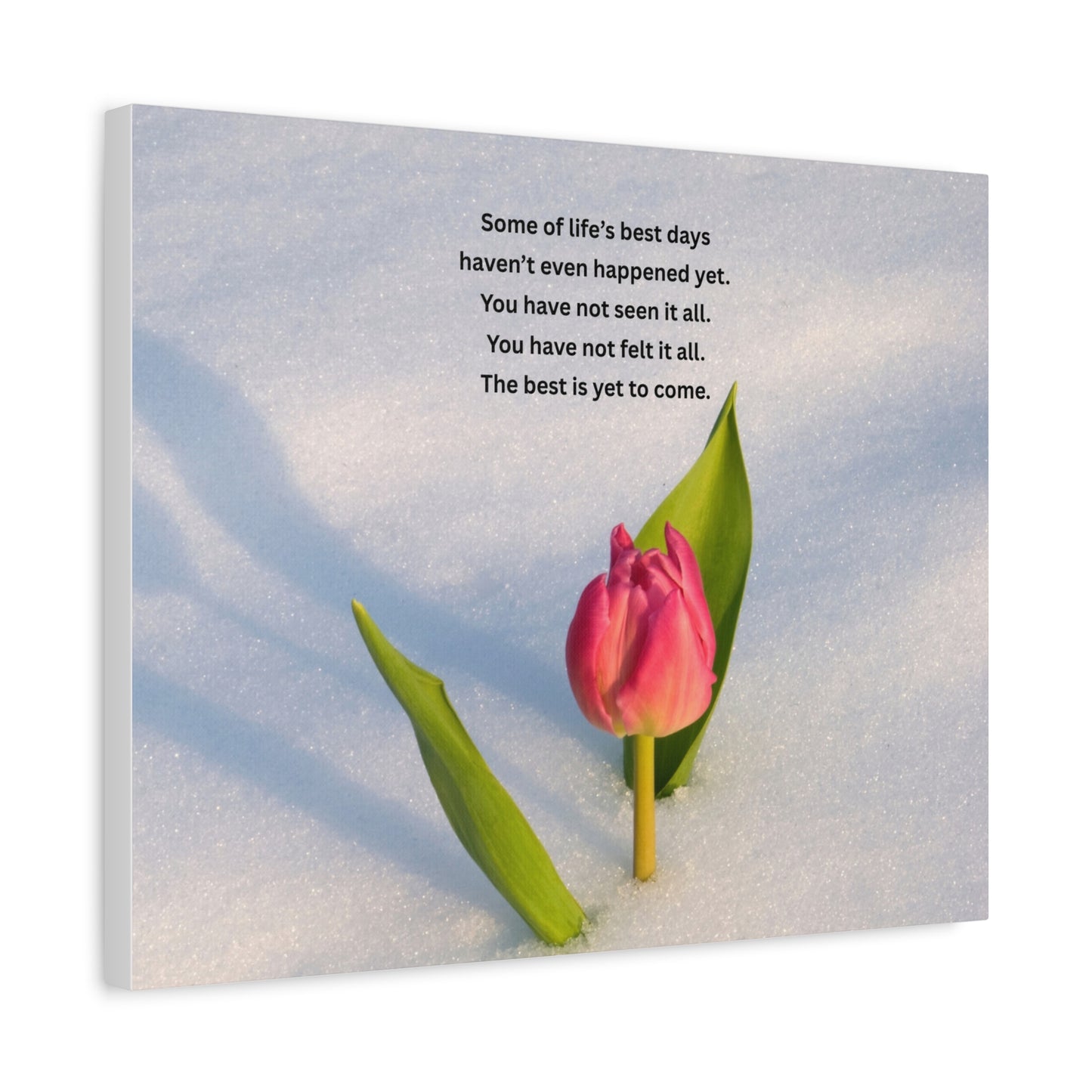 Canvas Wall Art – Inspirational Tulip Quote "Some of life's best days..."