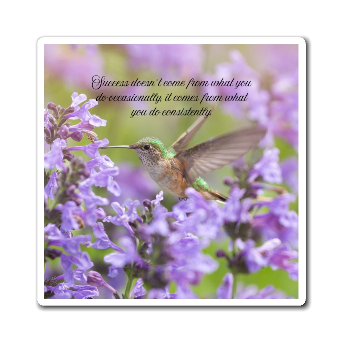 Hummingbird Inspirational Magnet — “Success doesn’t come from what you do occasionally…”