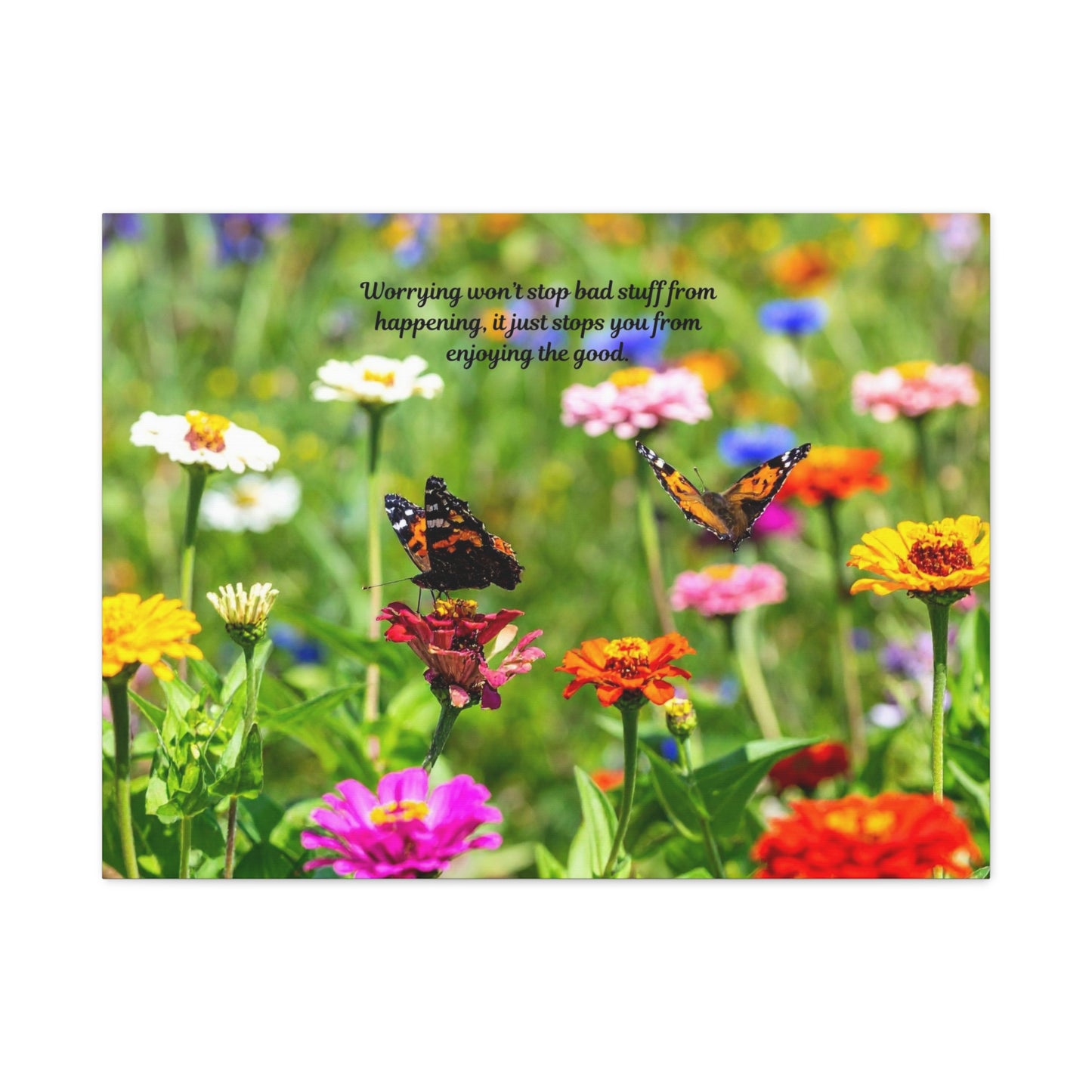Floral Canvas Wall Art, Inspirational Quote, Butterfly Decor, Home Decoration, Positive Vibes, Nature Artwork, Gift Idea