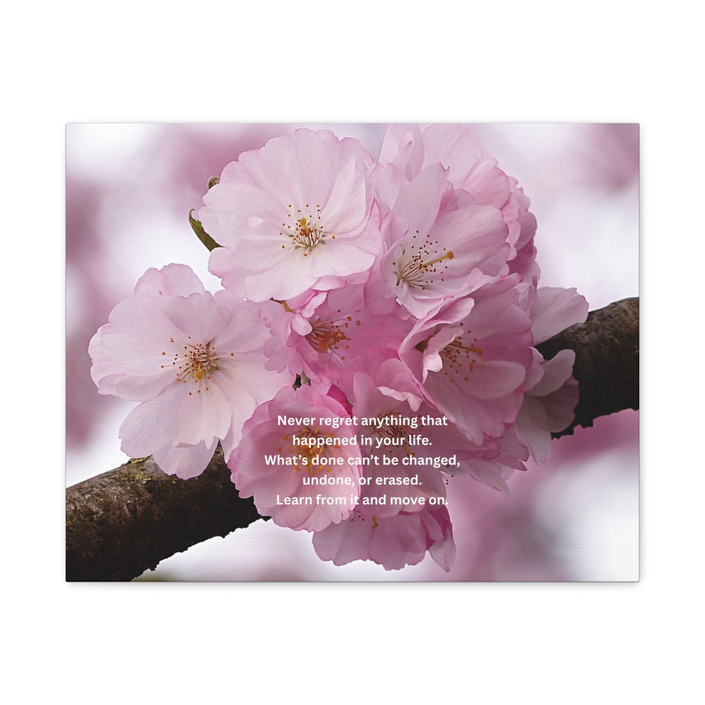 Cherry Blossom Canvas Wall Art with Inspirational Quote — "Never regret anything"