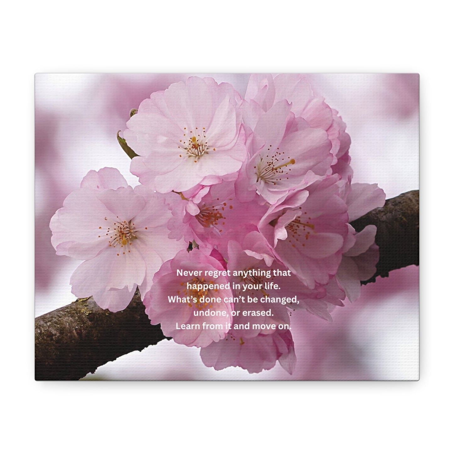 Cherry Blossom Canvas Wall Art with Inspirational Quote — "Never regret anything"