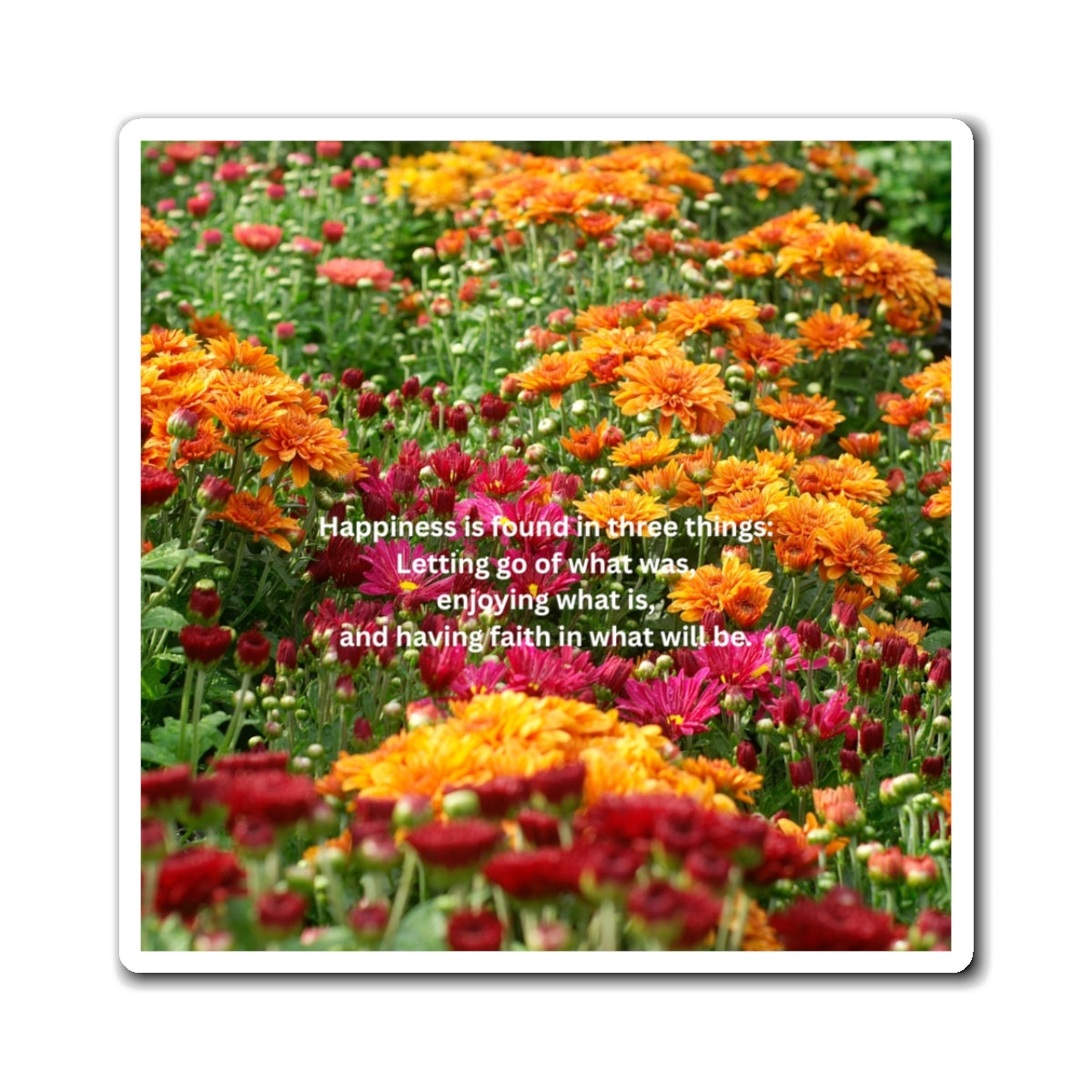 Inspirational Floral Magnet Set - Uplifting Home Decor, Gift for Her, Kitchen Accessories, Motivational Office Decor, Positive Vibes