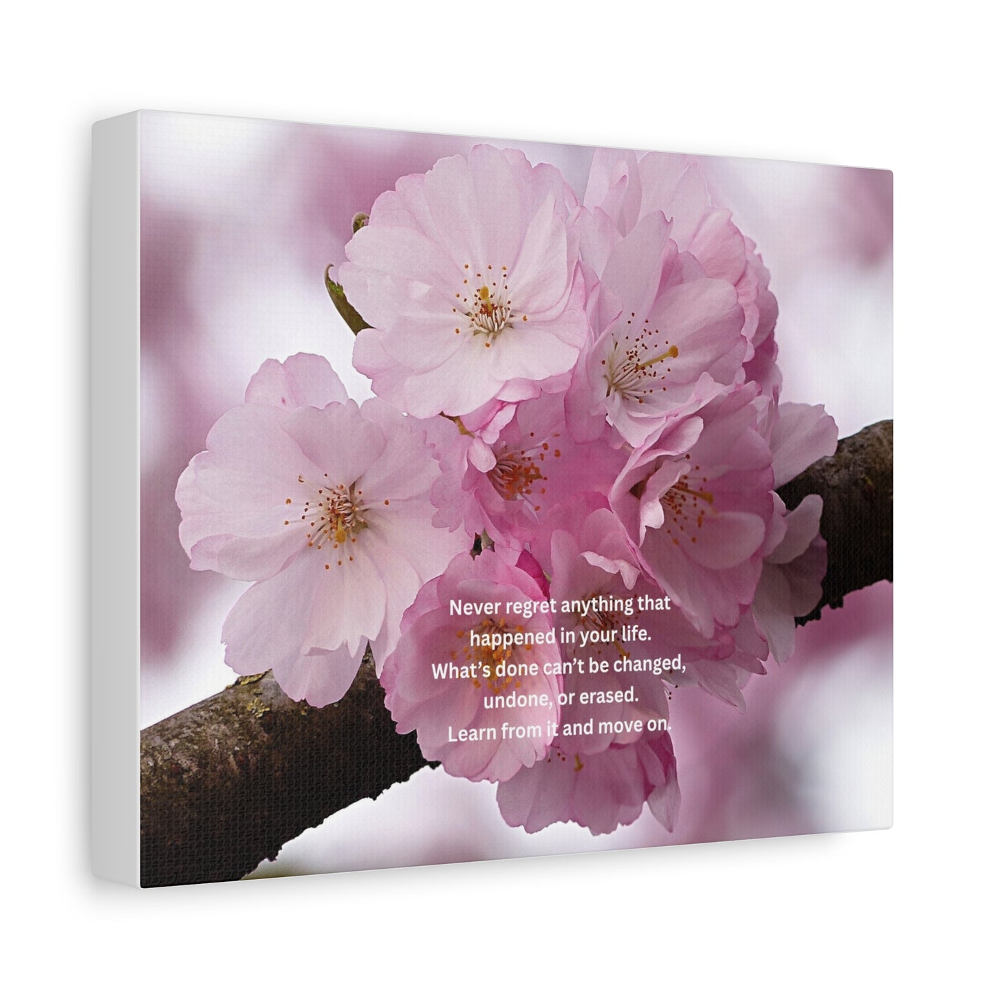 Cherry Blossom Canvas Wall Art with Inspirational Quote — "Never regret anything"