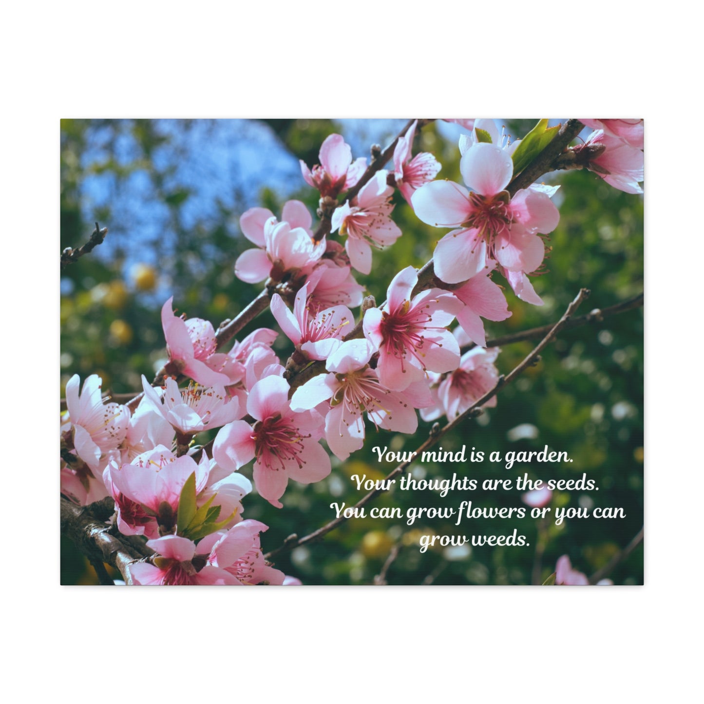 Inspirational Flower Canvas Wall Art, Nature Decor for Home, Motivational Gift, Garden Quote Print, Positive Thinking Wall Decor