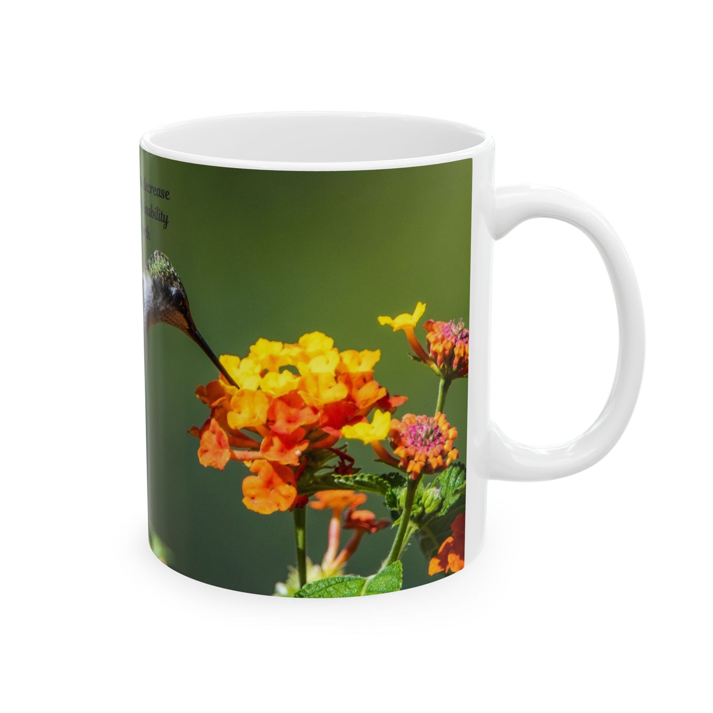 Inspirational Hummingbird Mug - Motivational Coffee Cup, Nature Lover Gift, Self-Worth Reminder, Office Drinkware, Mother's Day Present