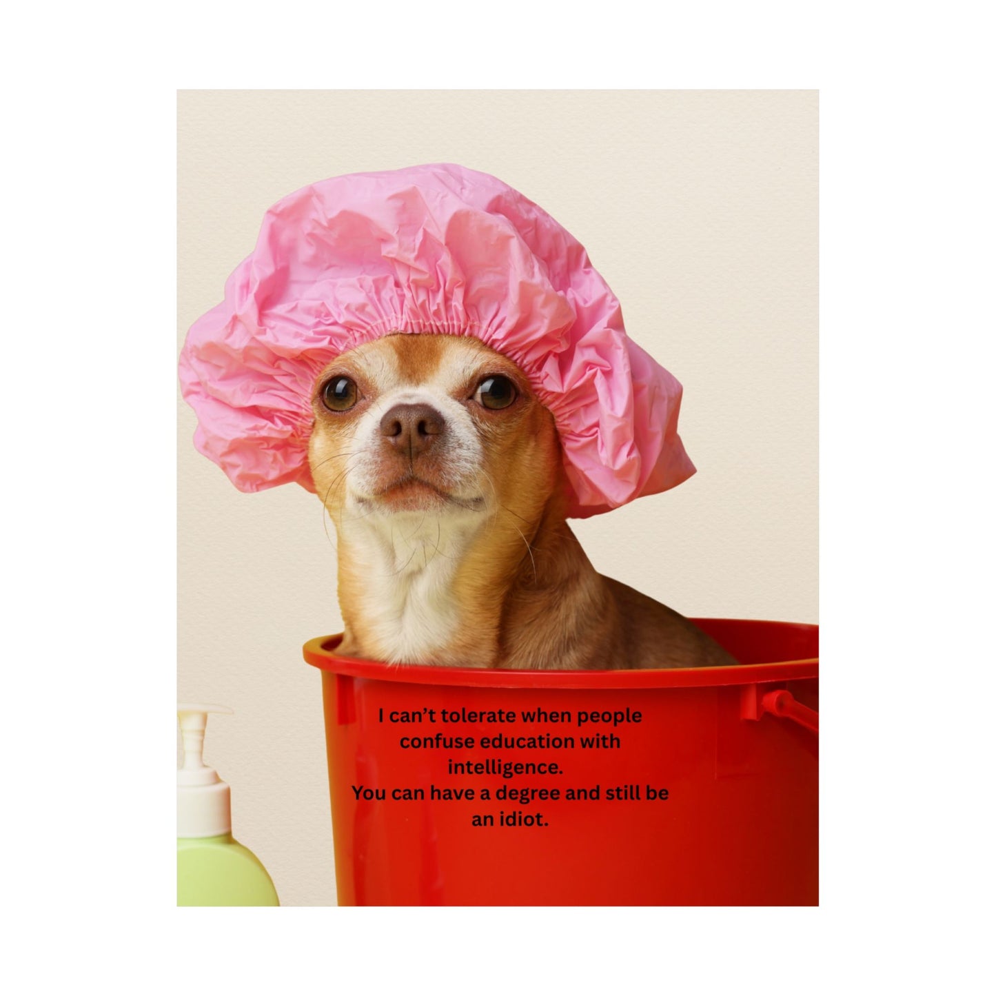 Poster - Funny Chihuahua Shower Cap Quote (I Can't Tolerate When People Confuse Education With Intelligence)