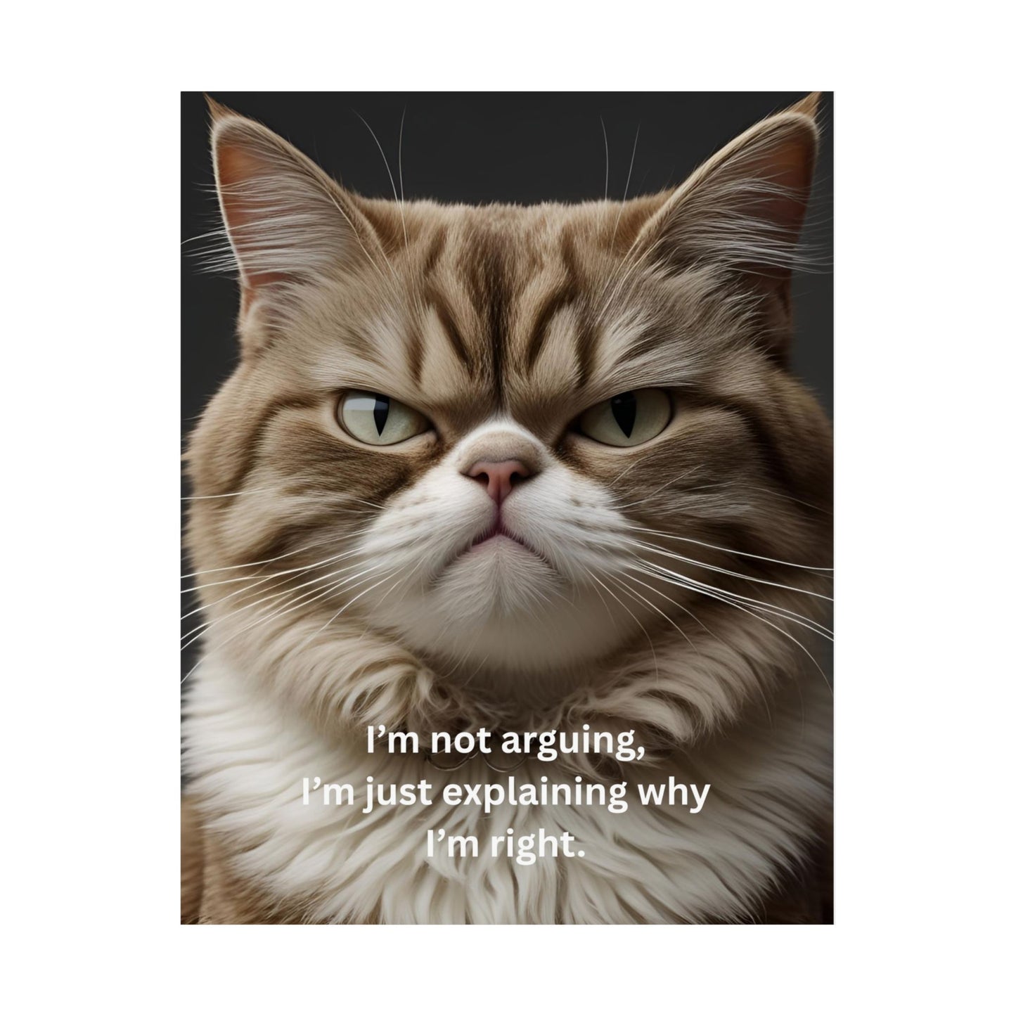 Whimsical Cat Quote Posters, Home Decor, Funny Wall Art, Pet Lover Gift, Office Decor