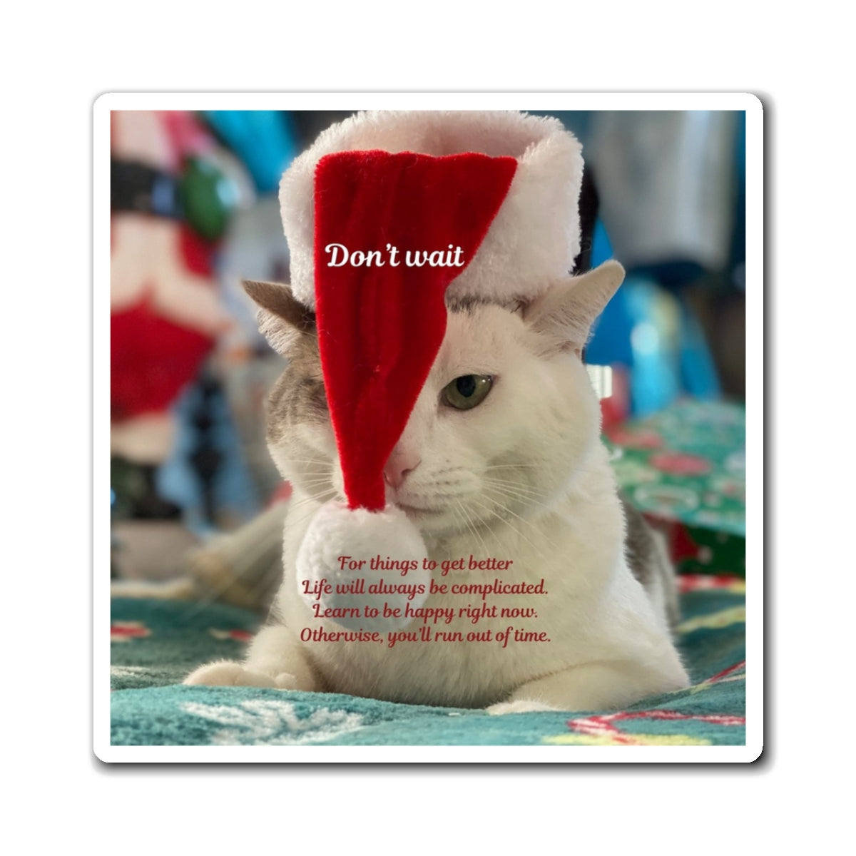 Holiday Cat Magnet – 'Don't Wait' Inspirational Christmas Refrigerator Magnet
