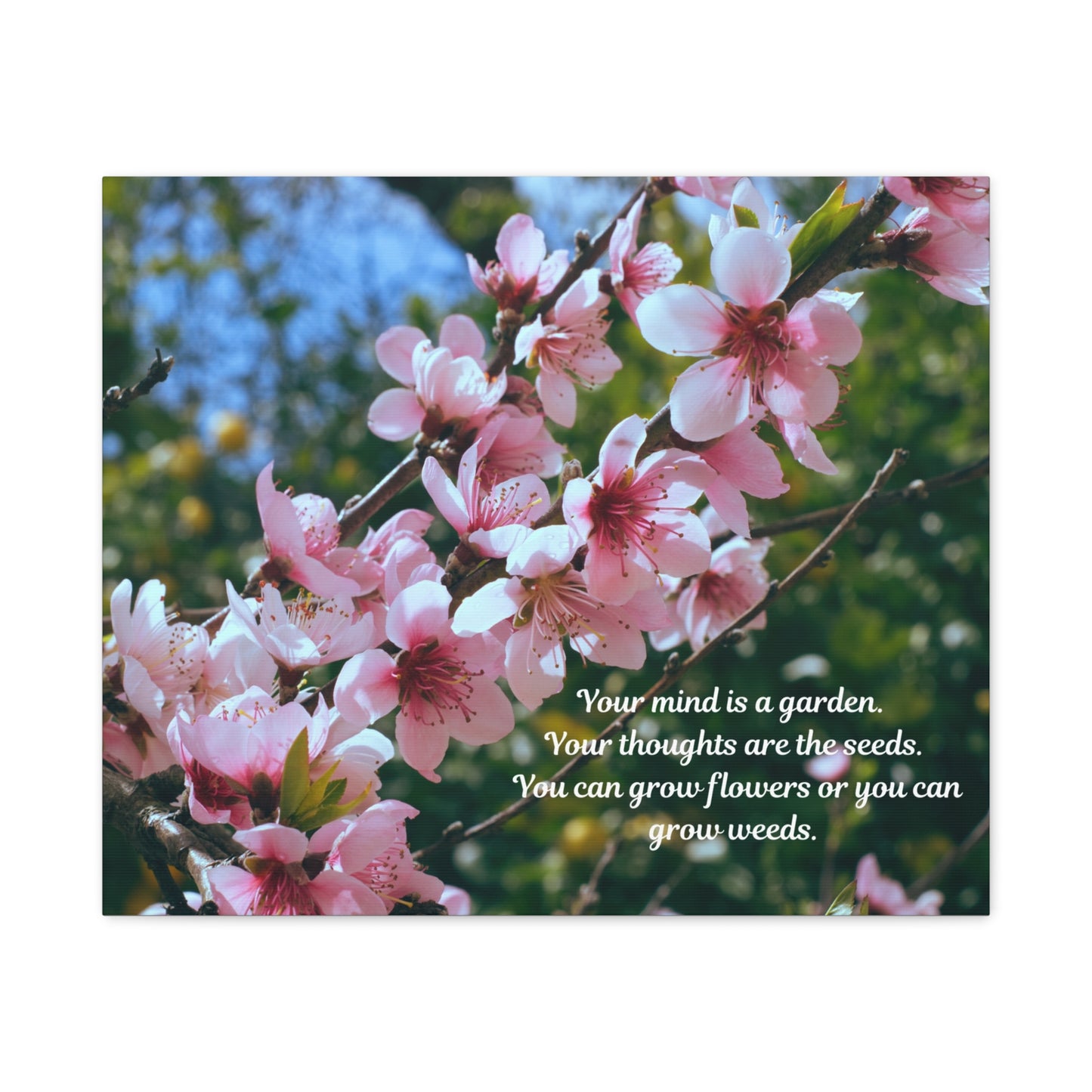Inspirational Flower Canvas Wall Art, Nature Decor for Home, Motivational Gift, Garden Quote Print, Positive Thinking Wall Decor