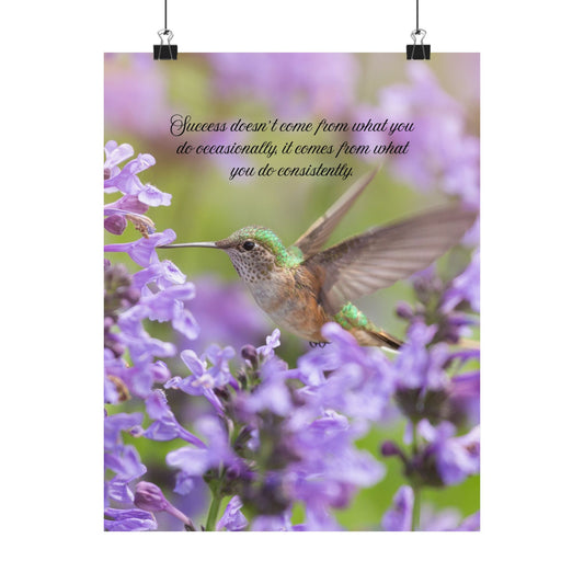 Hummingbird Inspiration Poster – "Success doesn't come from what you do occasionally..." Matte Vertical Art