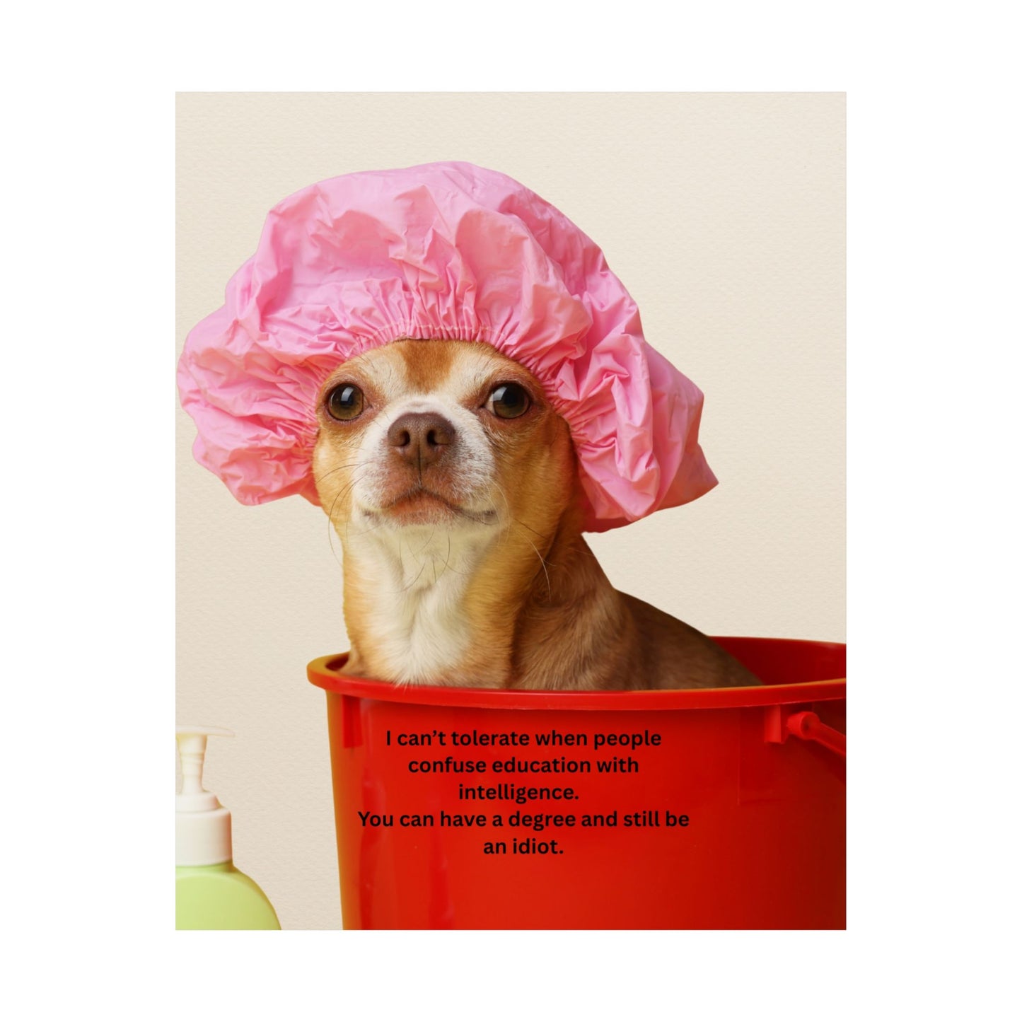 Poster - Funny Chihuahua Shower Cap Quote (I Can't Tolerate When People Confuse Education With Intelligence)