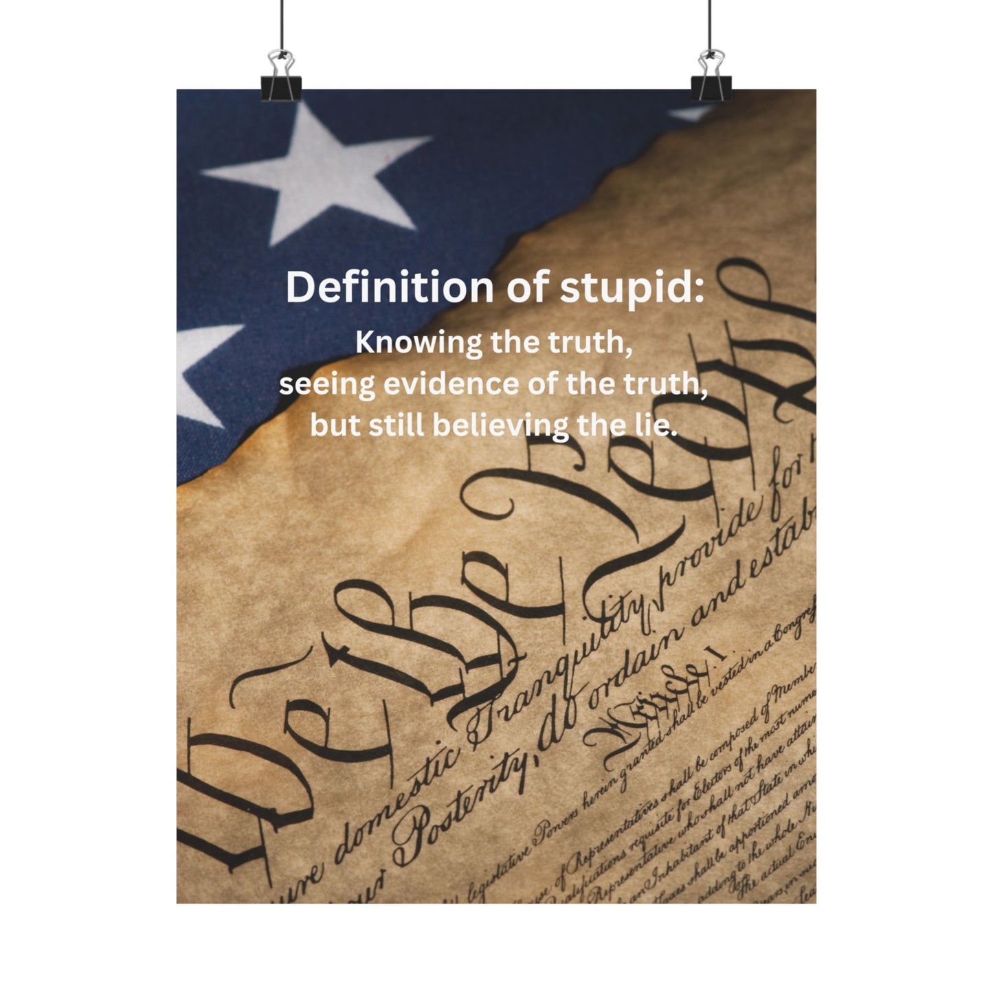 Patriotic Poster — “Definition of stupid: Knowing the truth, seeing evidence… but still believing the lie.” Matte Vertical Print