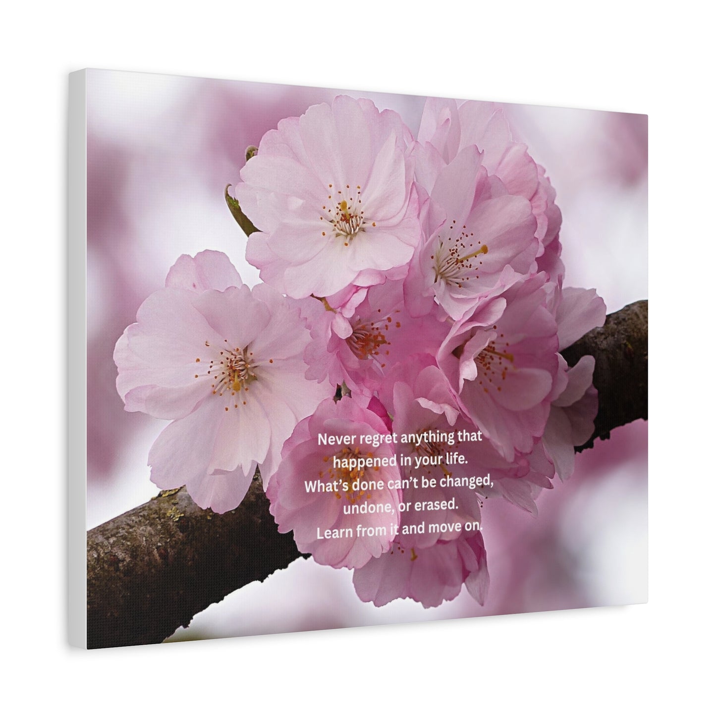 Cherry Blossom Canvas Wall Art with Inspirational Quote — "Never regret anything"